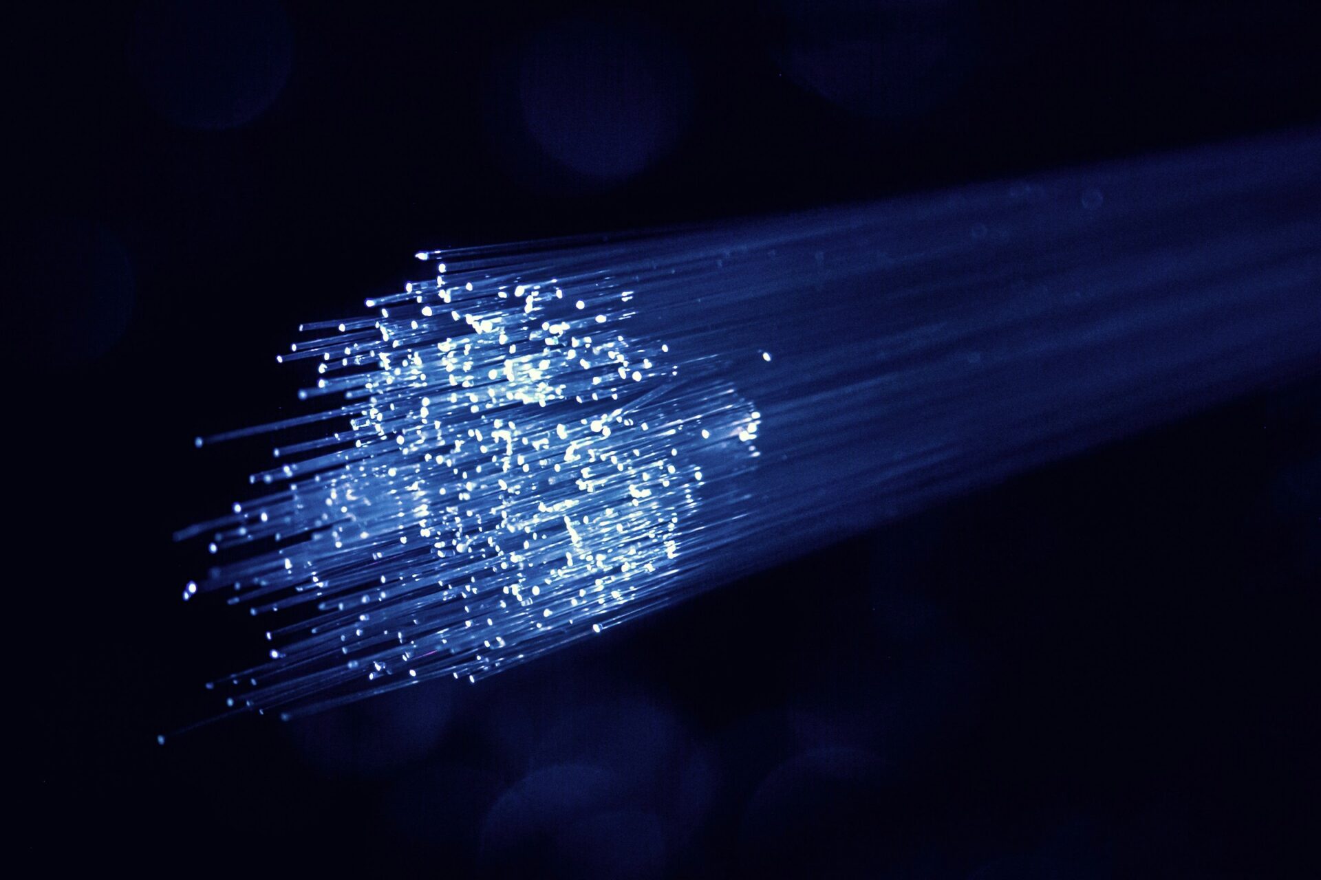Fibre