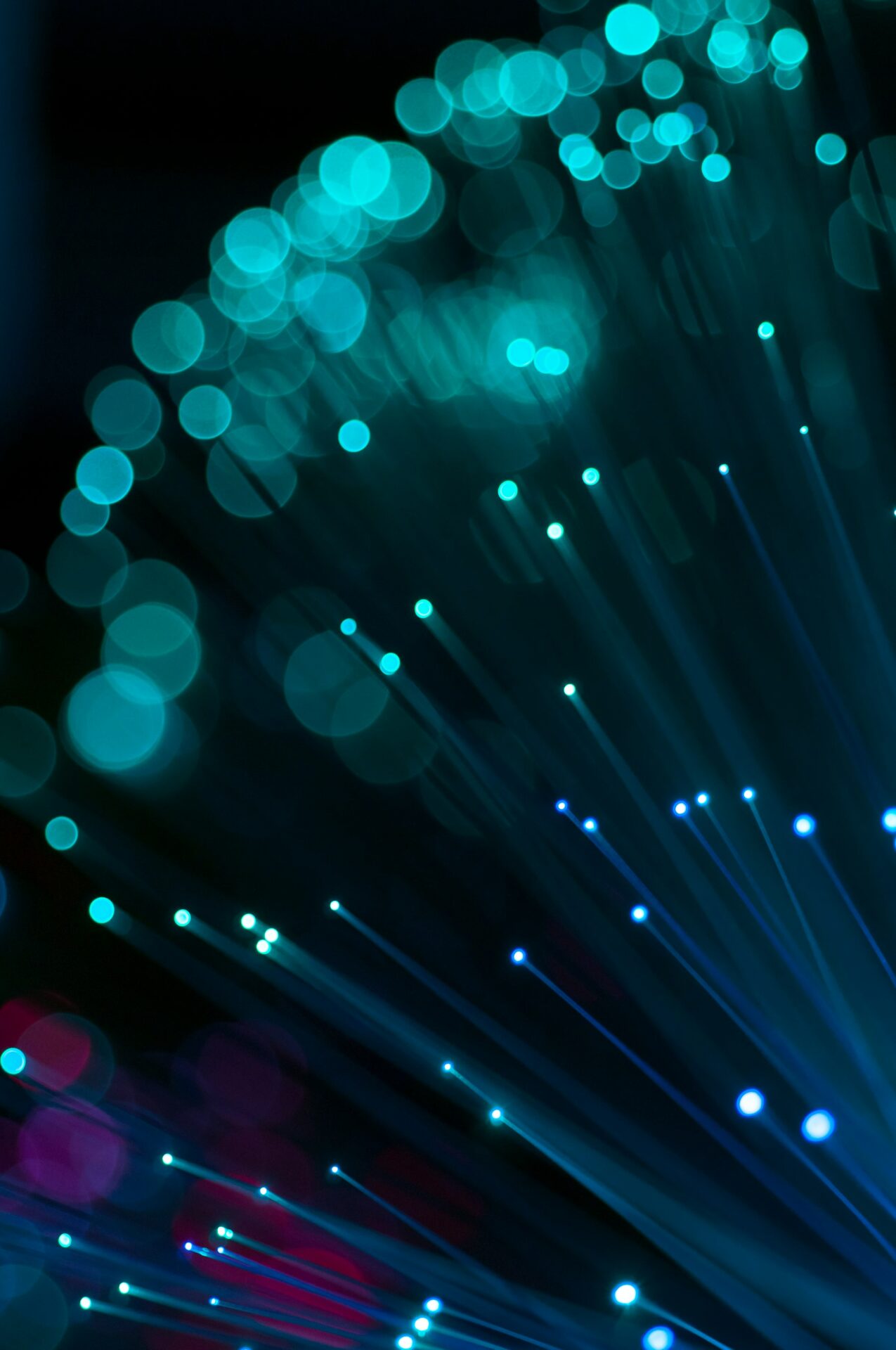 Fibre